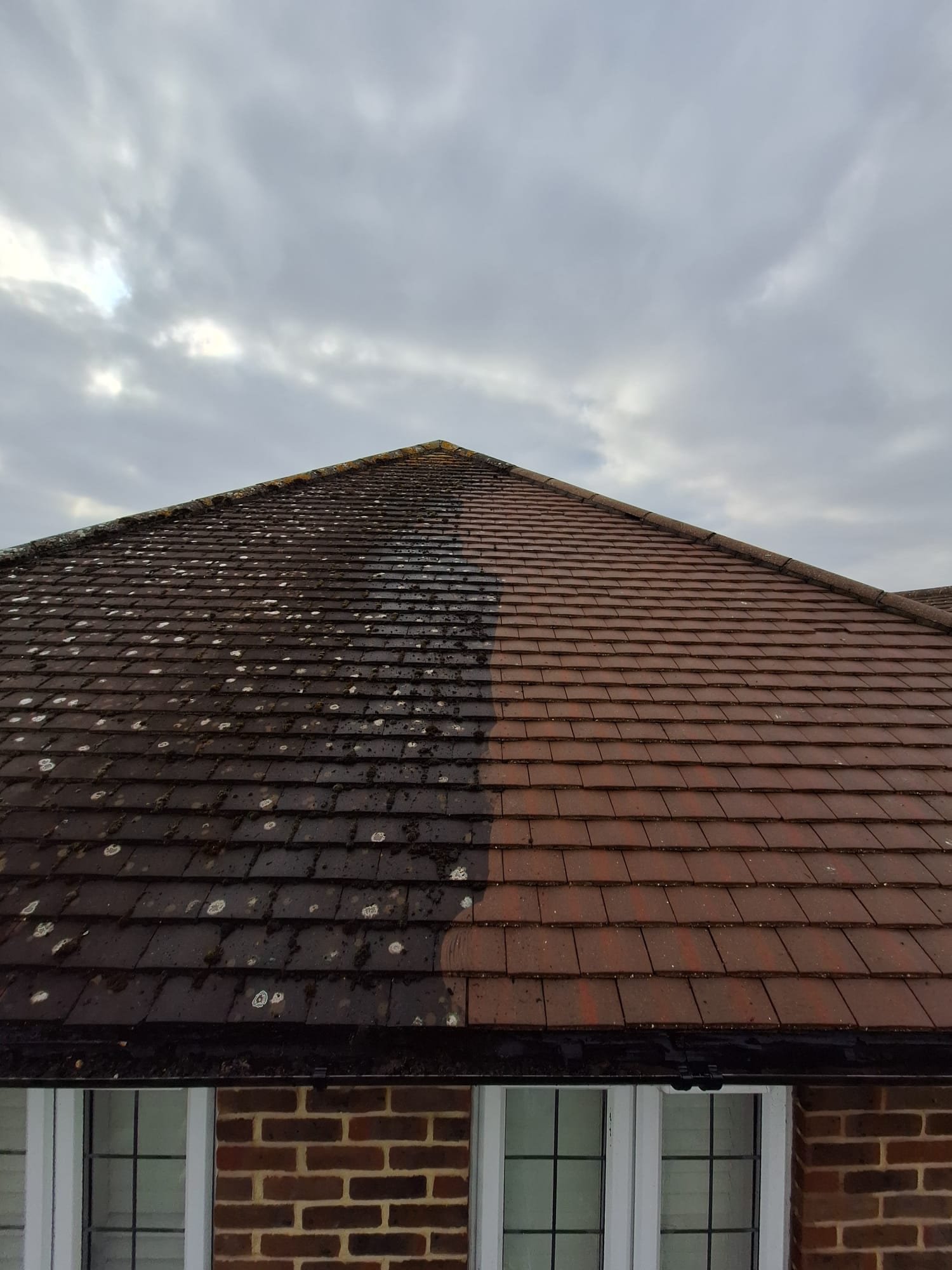 Gutter cleaning