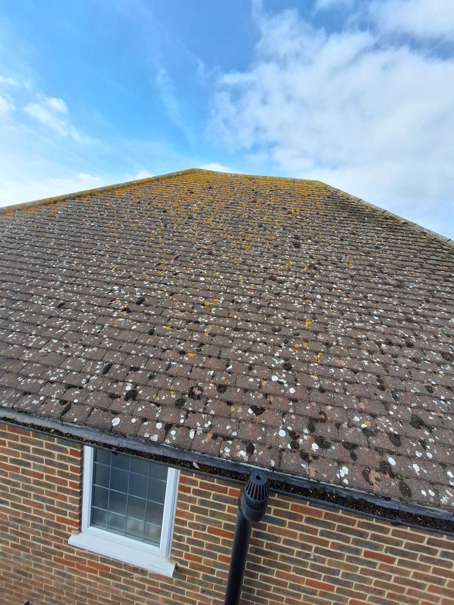 Gutter cleaning