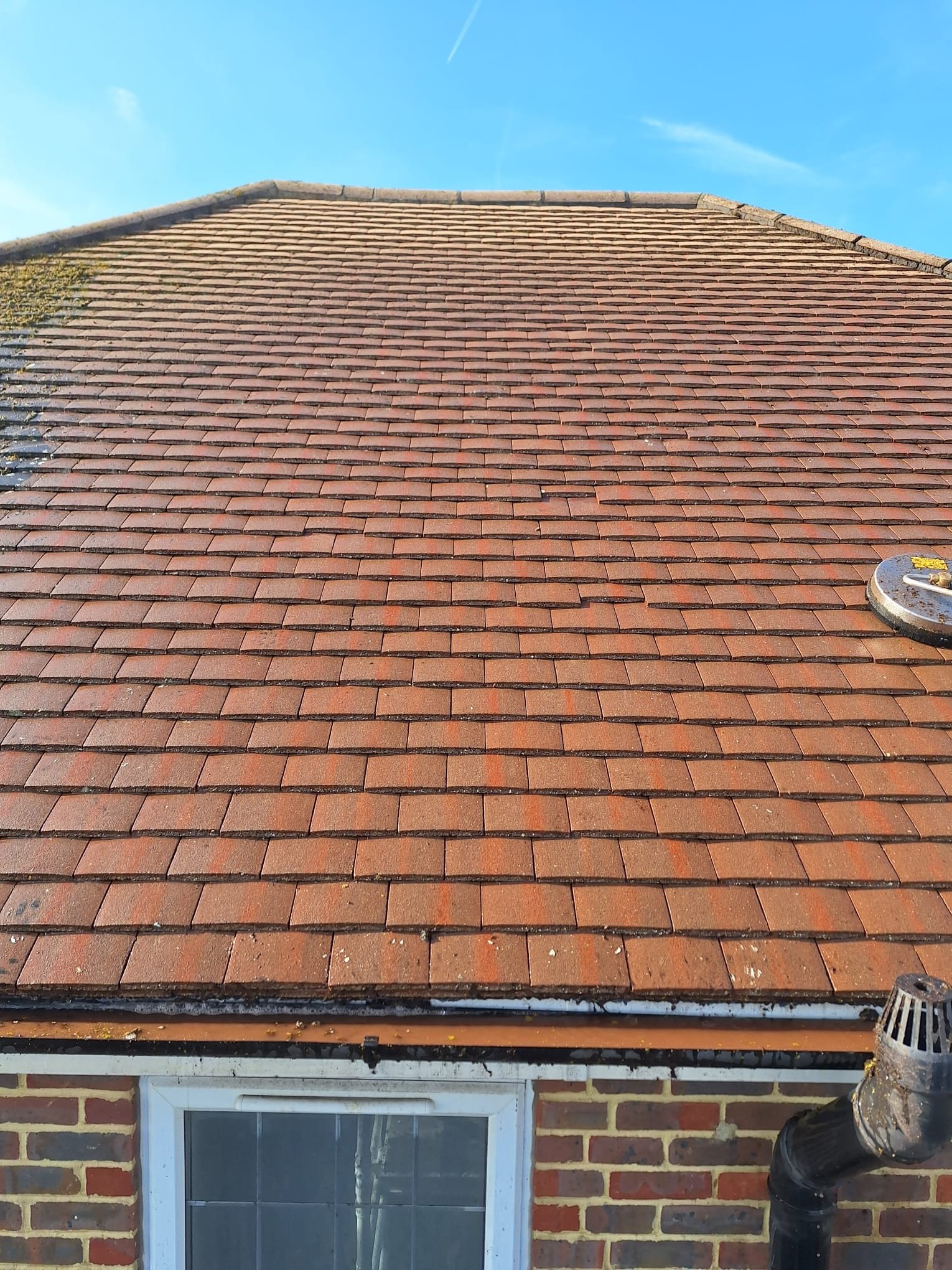 Gutter cleaning project