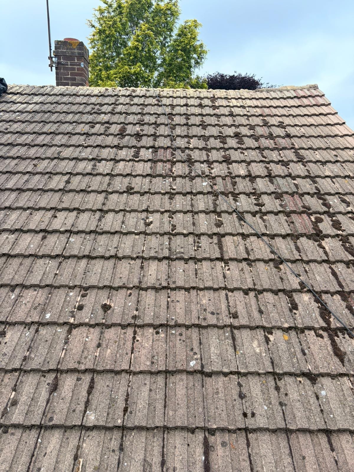 Gutter cleaning