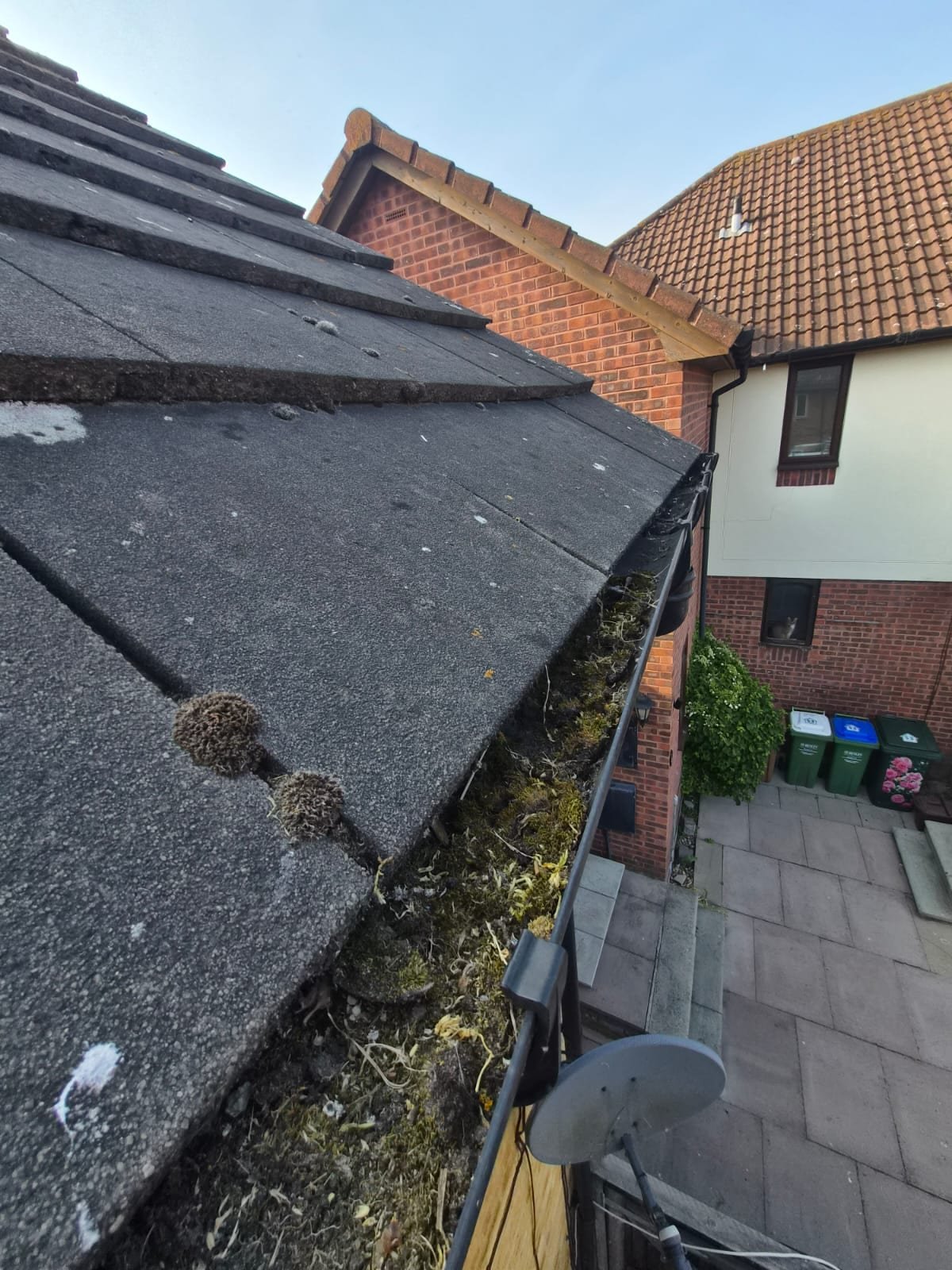 Gutter cleaning