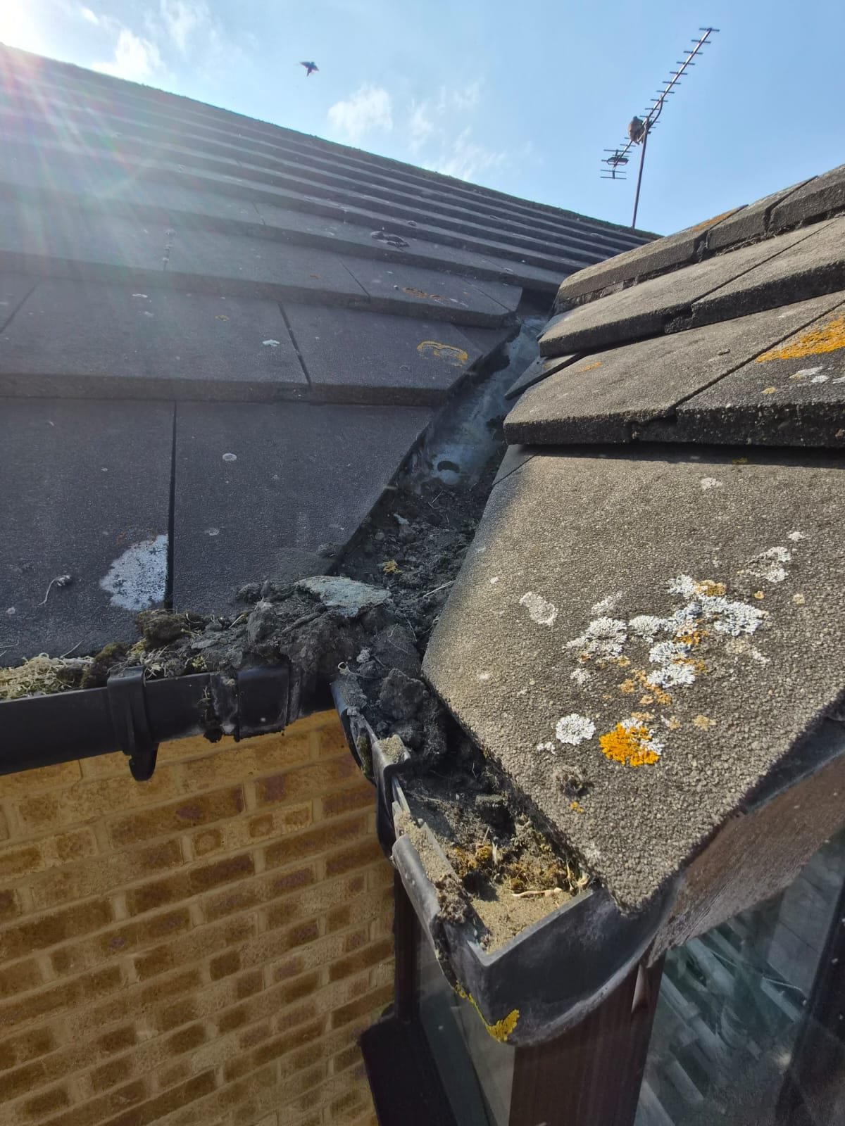 Gutter cleaning