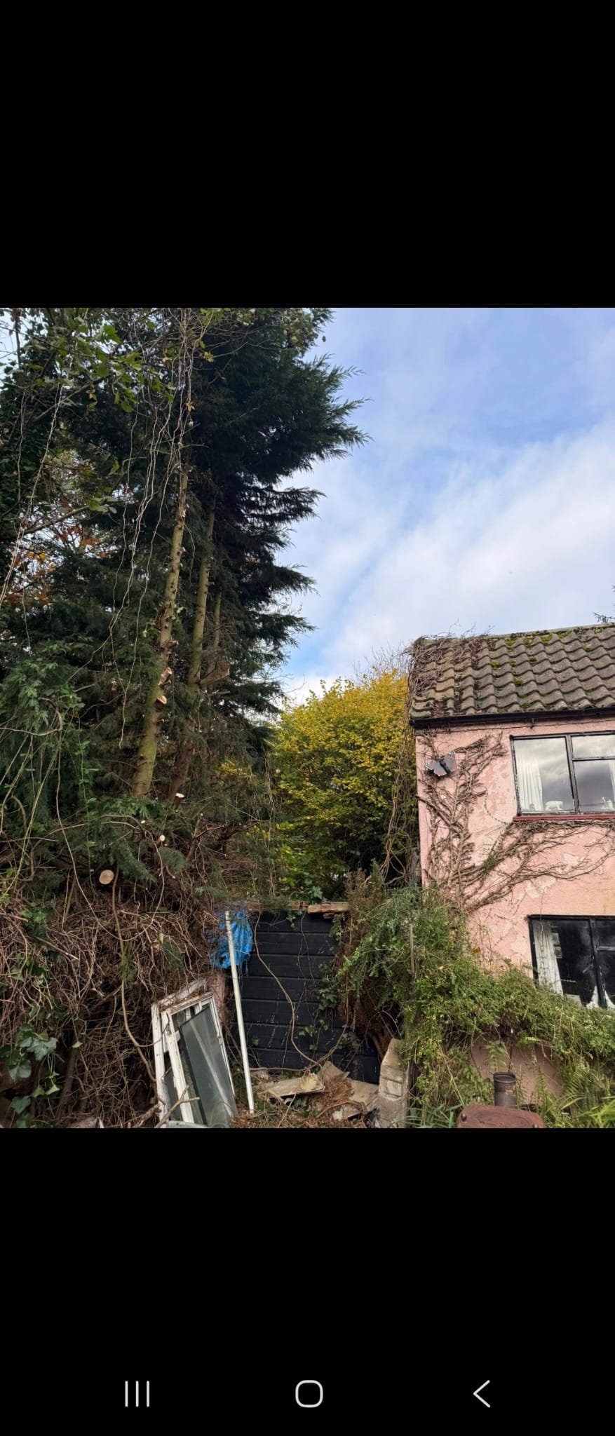Tree surgery