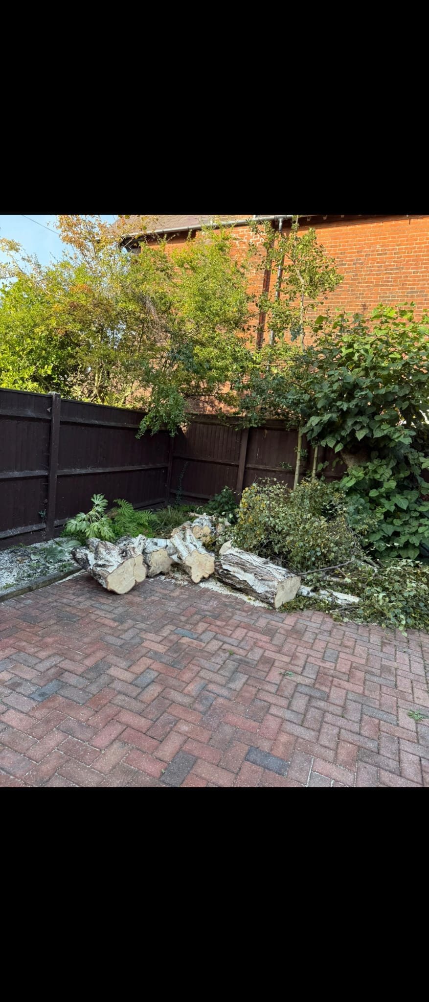 Tree surgery